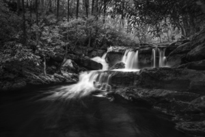 Cool Waters in Tremont