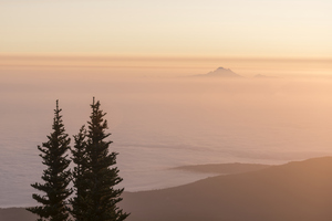 Fog Settling In