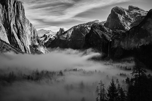 Fog in Yosemite