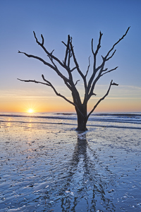 Sunrise at Botany Bay