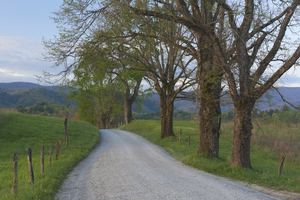 Trees on a Path