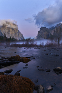 Yosemite Valley Floor
