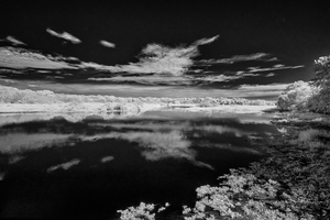 Lake in Florida
