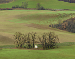 Church in a field