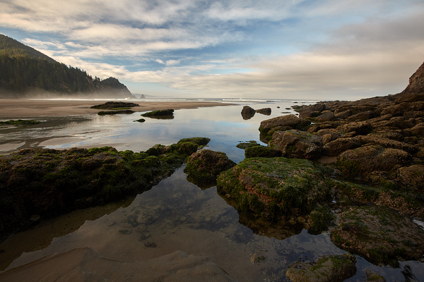 Dusk in the Oregon Cove Print