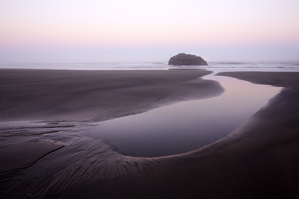 Foggy Morning in Oregon Print