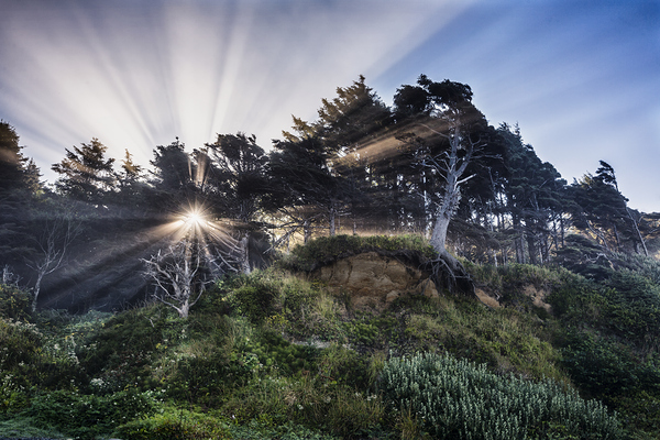 God Rays on an Oregan Cliff Print