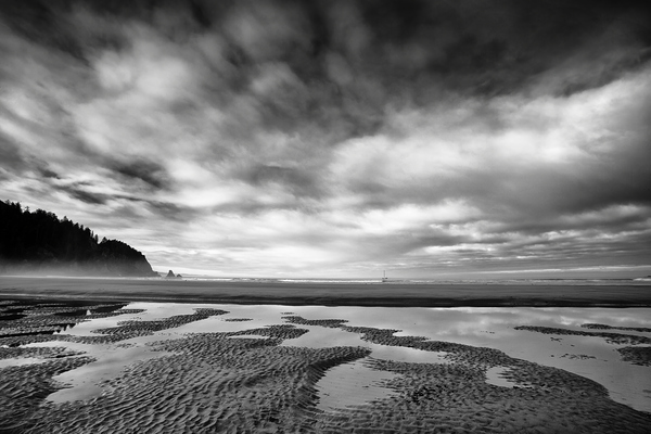 Shoreline in Smugglers Cove II Print