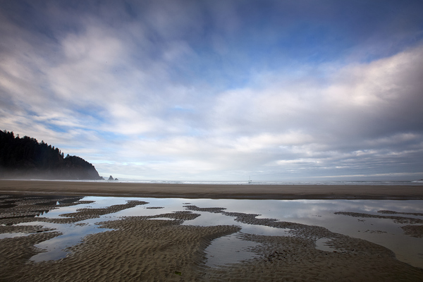 Shoreline in Smugglers Cove Print