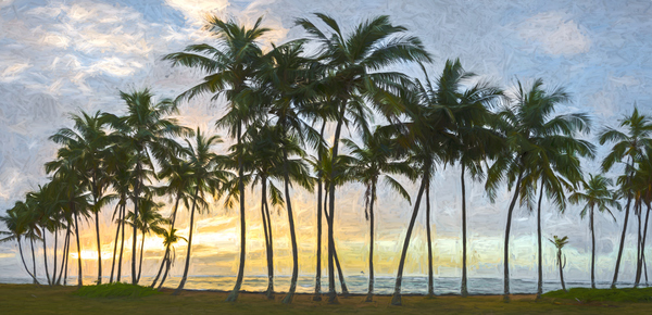 Palms of Kauai Print