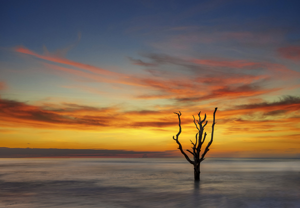 Sunrise on Botany Beach Print