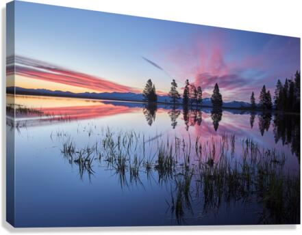 yellowstone Dawn  Canvas Print