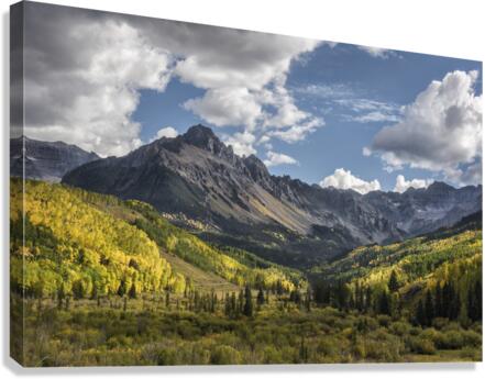 We Go Walking Canvas Print