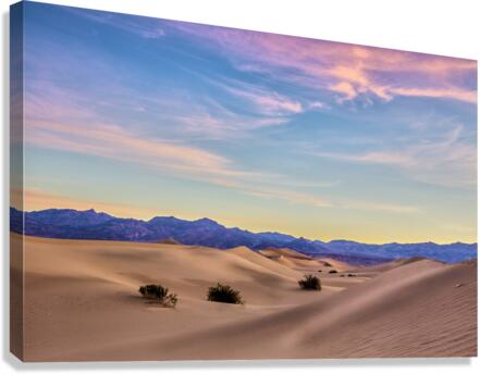 Three in the Sand Canvas Print