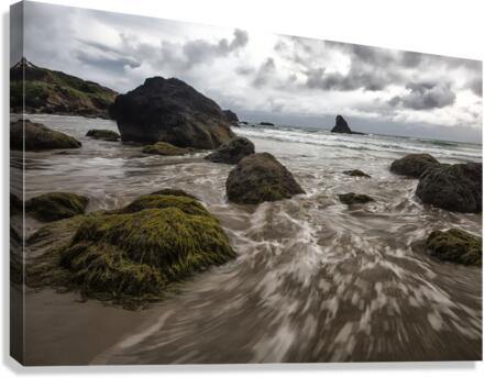 Sea Stack in Oregon Canvas Print