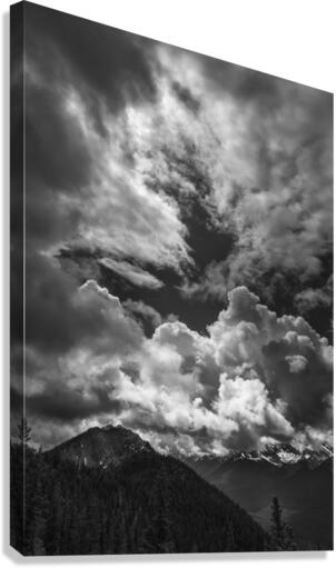 Save the Light Canvas Print