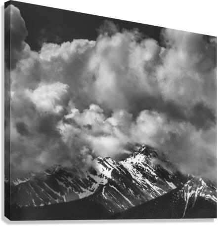 Breathe Out Canvas Print
