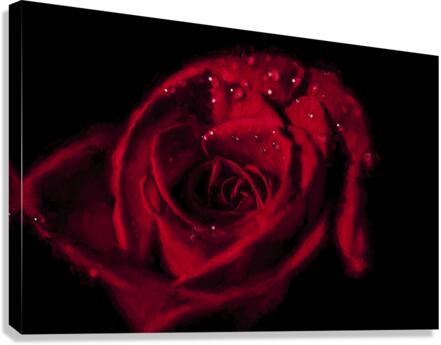 Get Red II Canvas Print