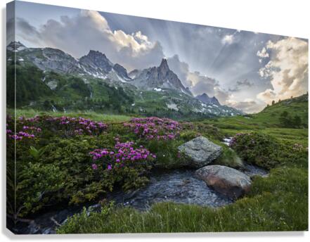 Below God Rays in the Alps Canvas Print