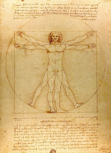 Leonardo da Vinci   Vitruvian Man  1492