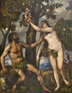 Titian 1506 1576  The Fall of Man