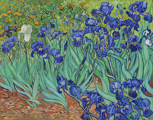 Van Gogh 1853 1890  Irises 1889