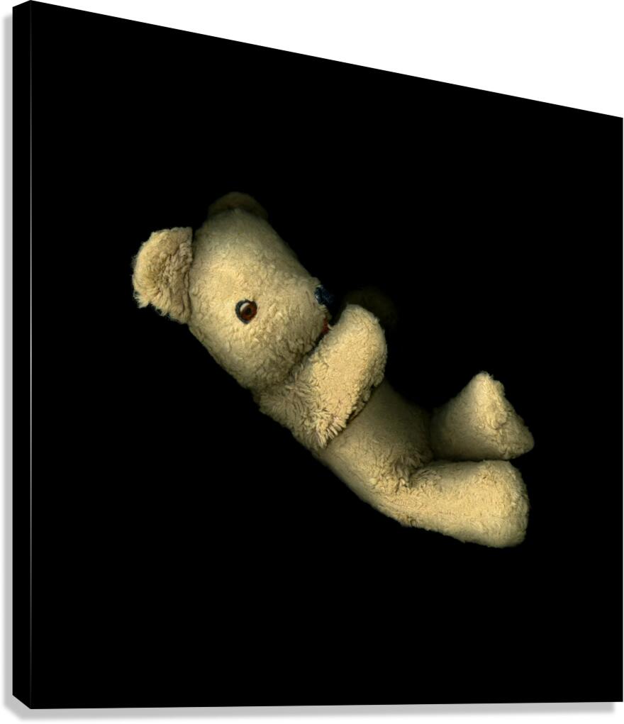 The Bear Canvas Print