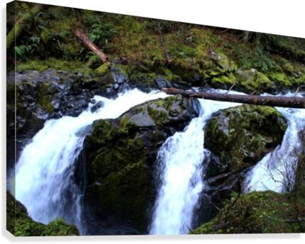 Greenery Canvas Print