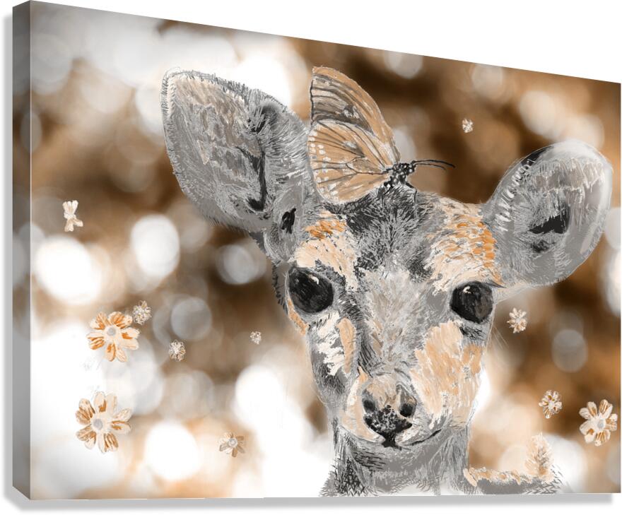 Baby Deer brown Canvas Print