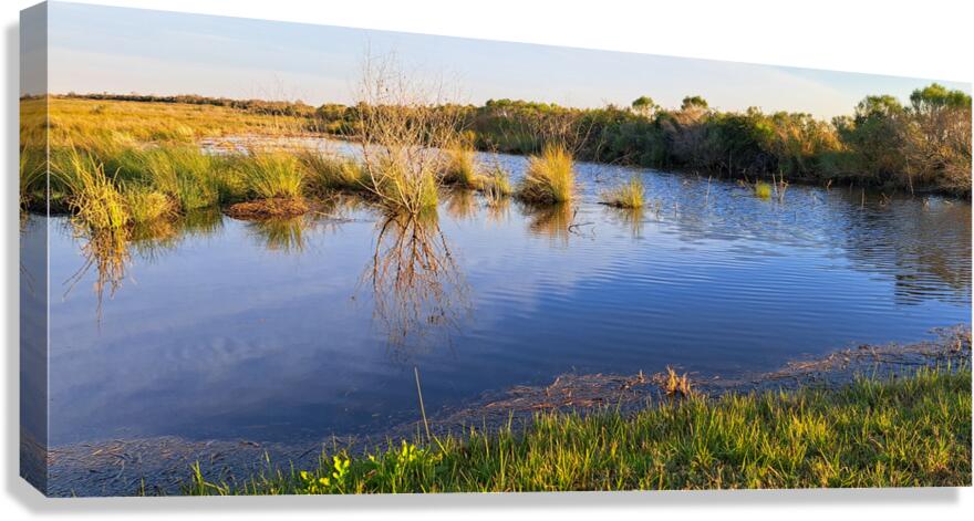 Reflection Off Water Canvas Print