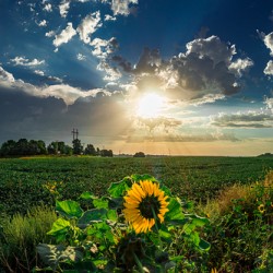 A Fresh Start
