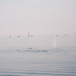 Horizon