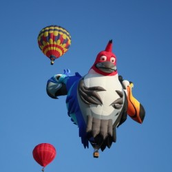Montgolfieres 06