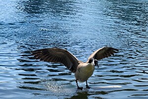 20250525 152512 EDIT 2