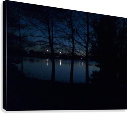 artifact6 Canvas Print
