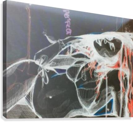 artifact3Perfectinvert Canvas Print