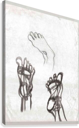 feet study Canvas Print