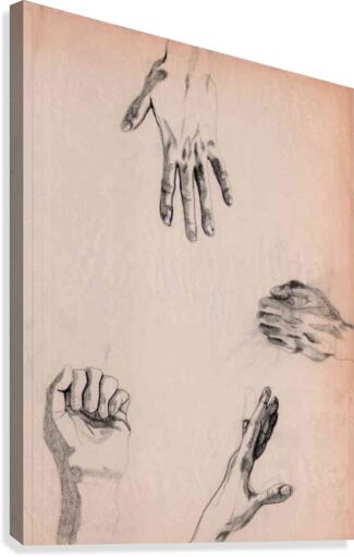 Hands Study 4 Canvas Print