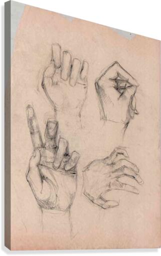 HandStudy3 Canvas Print