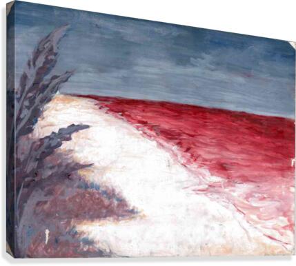 RedBeach2 Canvas Print