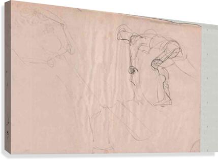 figure22Torso Canvas Print