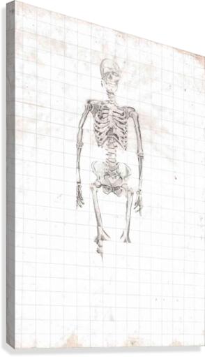 SkeletonGrid Canvas Print