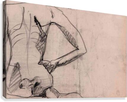 figure31 Canvas Print