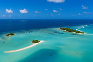 The wonderful sea 