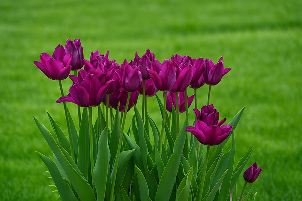 Natures creativity in stunning high quality by Digital Treasure