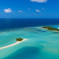 The wonderful sea 