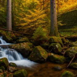 A Stunning Natural Landscape in High Quality