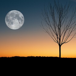 Stillness of the night
