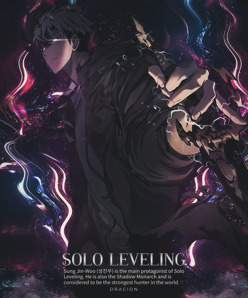 solo leveling Print