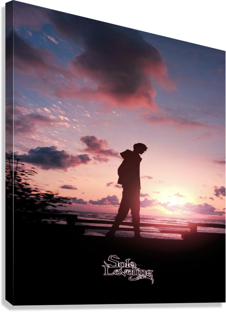 solo leveling Canvas Print